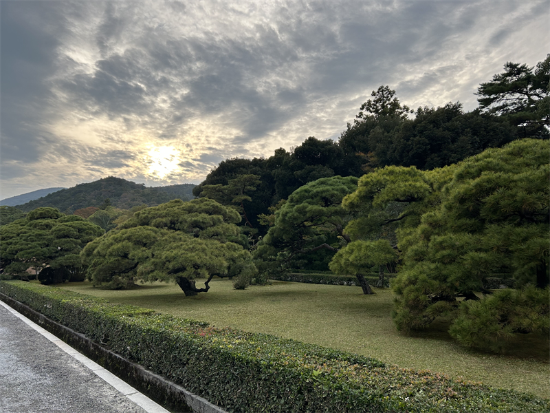 光射す写真